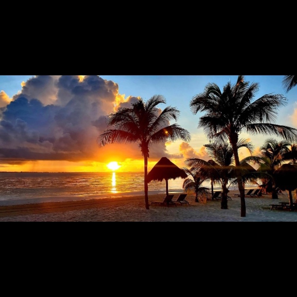 Meet your Posher, Rosa